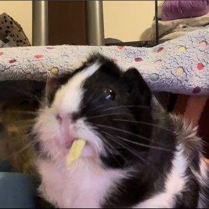 Meet your Posher, Vanessa